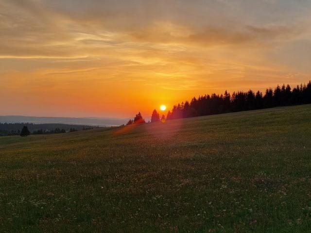 Landgasthof Neitsch Schwarzenberg  Esterno foto