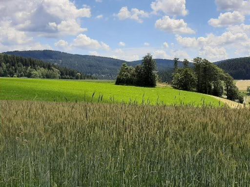 Landgasthof Neitsch Schwarzenberg  Esterno foto